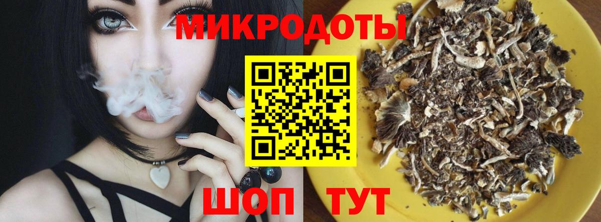Галлюциногенные грибы Psilocybe Кемерово