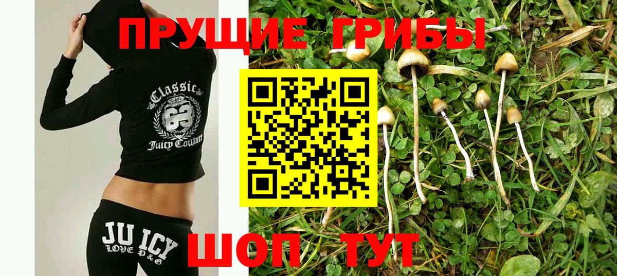Кемерово  Галлюциногенные грибы прущие грибы  Вход с VPN 